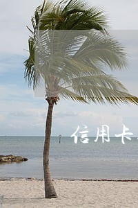 信用卡逾期还款扣款顺序