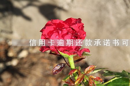信用卡逾期还款承诺书可以签吗 信用卡逾期还款承诺书可以签吗