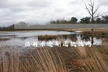 信用卡逾期还款技巧 信用卡逾期还款技巧