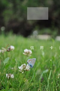 信用卡逾期还款拒绝使用 信用卡逾期还款拒绝使用