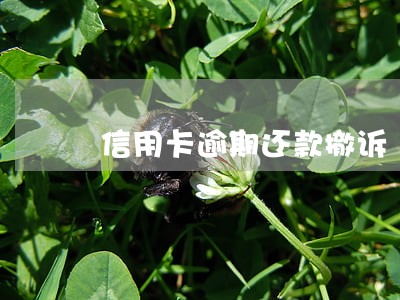 信用卡逾期还款撤诉