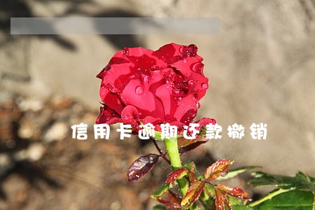 信用卡逾期还款撤销 信用卡逾期还款撤销