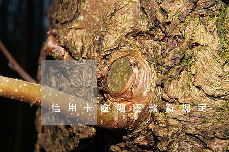 信用卡逾期还款新规定 信用卡逾期还款新规定