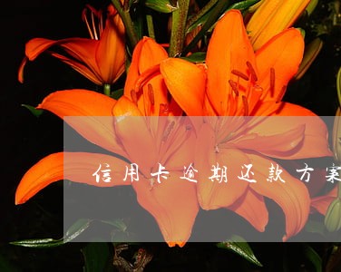 信用卡逾期还款方案协商 信用卡逾期还款方案协商