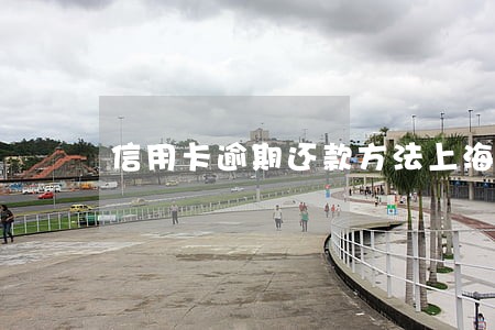 信用卡逾期还款方法上海 信用卡逾期还款方法上海
