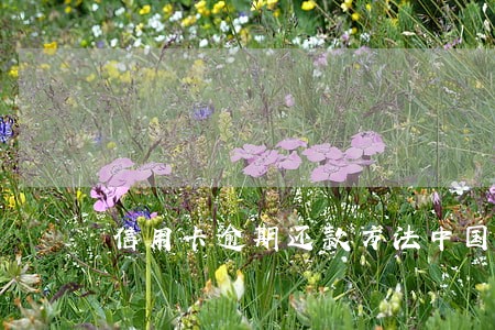 信用卡逾期还款方法中国