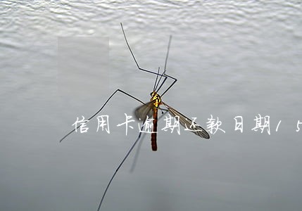 信用卡逾期还款日期15天 信用卡逾期还款日期15天