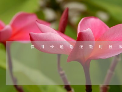 信用卡逾期还款时显示卡注销 信用卡逾期还款时显示卡注销