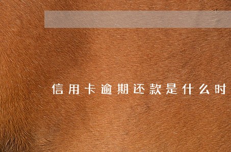 信用卡逾期还款是什么时候