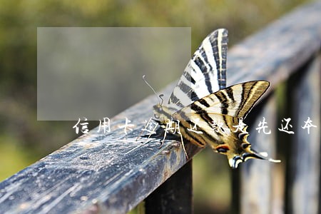 信用卡逾期还款是先还本金 信用卡逾期还款是先还本金