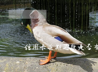 信用卡逾期还款是否有通知 信用卡逾期还款是否有通知