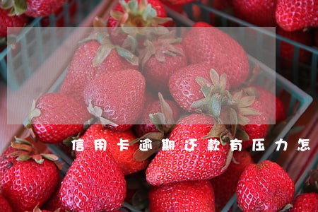 信用卡逾期还款有压力怎么办 信用卡逾期还款有压力怎么办
