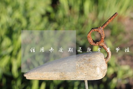 信用卡逾期还款有季节性的吗 信用卡逾期还款有季节性的吗