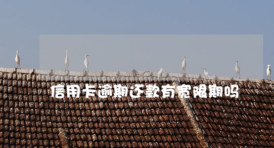 信用卡逾期还款有宽限期吗 信用卡逾期还款有宽限期吗