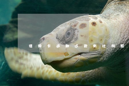 信用卡逾期还款有比例原则吗
