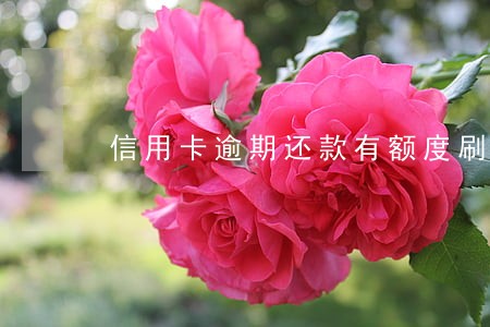 信用卡逾期还款有额度刷不出 信用卡逾期还款有额度刷不出