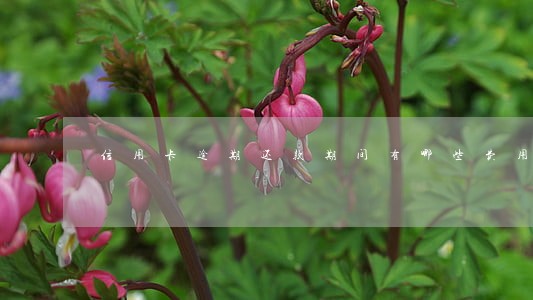 信用卡逾期还款期间有哪些费用 信用卡逾期还款期间有哪些费用