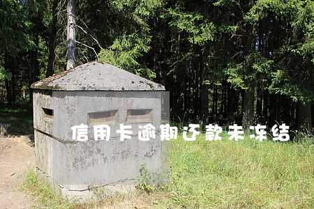 信用卡逾期还款未冻结 信用卡逾期还款未冻结