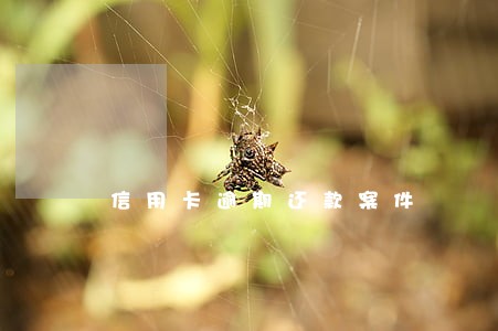 信用卡逾期还款案件