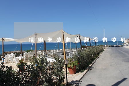 信用卡逾期还款没有收利息 信用卡逾期还款没有收利息