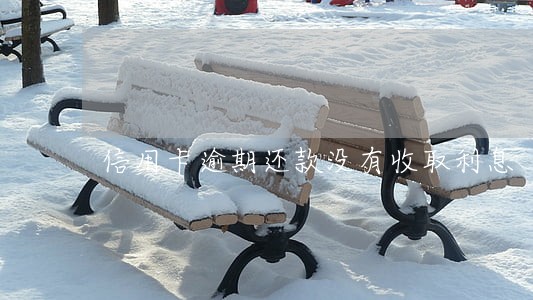 信用卡逾期还款没有收取利息