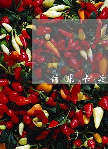 信用卡逾期还款没有通知怎么办