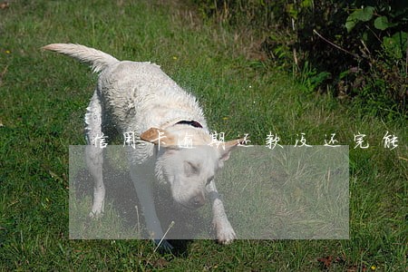 信用卡逾期还款没还完能刷出来吗