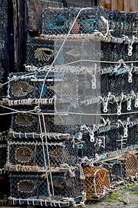 信用卡逾期还款滞纳金计算 信用卡逾期还款滞纳金计算