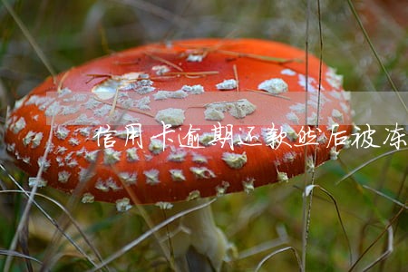 信用卡逾期还款然后被冻结 信用卡逾期还款然后被冻结