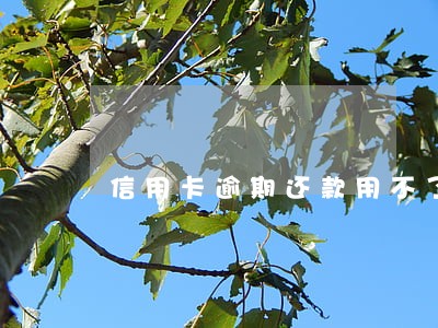 信用卡逾期还款用不了 信用卡逾期还款用不了