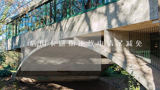 信用卡逾期还款申请了减免 信用卡逾期还款申请了减免