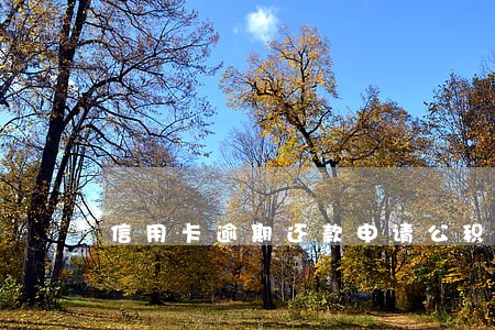 信用卡逾期还款申请公积金 信用卡逾期还款申请公积金