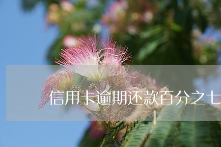 信用卡逾期还款百分之七十 信用卡逾期还款百分之七十