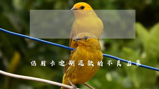 信用卡逾期还款的不良后果 信用卡逾期还款的不良后果