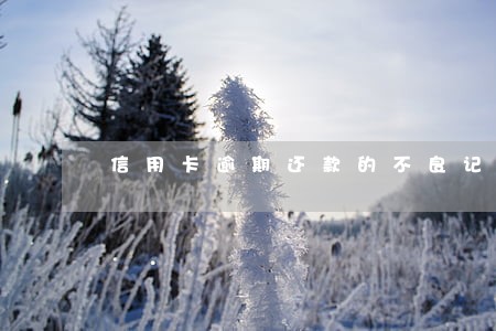 信用卡逾期还款的不良记录吗 信用卡逾期还款的不良记录吗