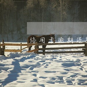 信用卡逾期还款的会有什么后果 信用卡逾期还款的会有什么后果