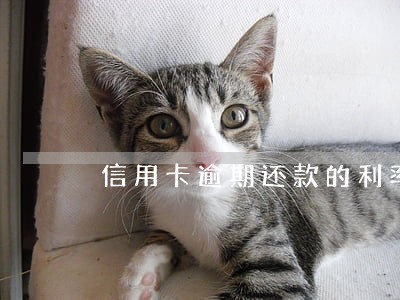信用卡逾期还款的利率 信用卡逾期还款的利率