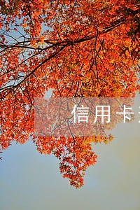 信用卡逾期还款的四大条件