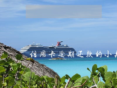 信用卡逾期还款的小知识