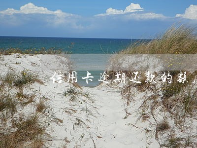 信用卡逾期还款的额度