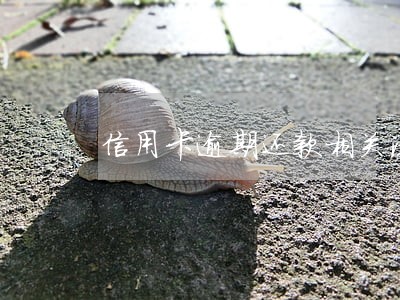 信用卡逾期还款相关法律规定