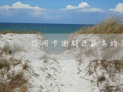 信用卡逾期还款离婚后