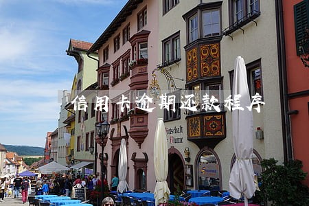 信用卡逾期还款程序 信用卡逾期还款程序