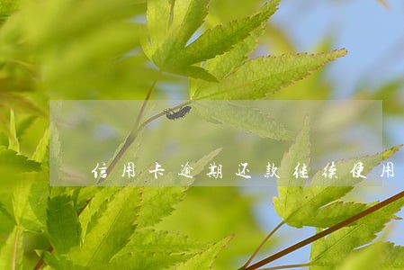 信用卡逾期还款继续使用 信用卡逾期还款继续使用