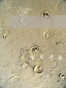 信用卡逾期还款罚息吗 信用卡逾期还款罚息吗