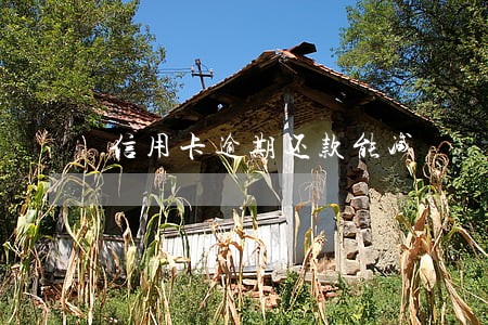 信用卡逾期还款能减 信用卡逾期还款能减