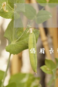 信用卡逾期还款能协商免息吗 信用卡逾期还款能协商免息吗