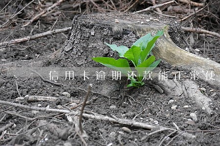 信用卡逾期还款能正常使用么 信用卡逾期还款能正常使用么