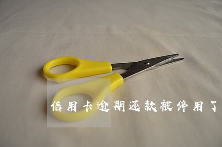 信用卡逾期还款被停用了 信用卡逾期还款被停用了