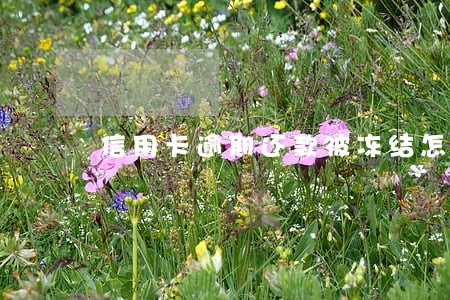 信用卡逾期还款被冻结怎么还款